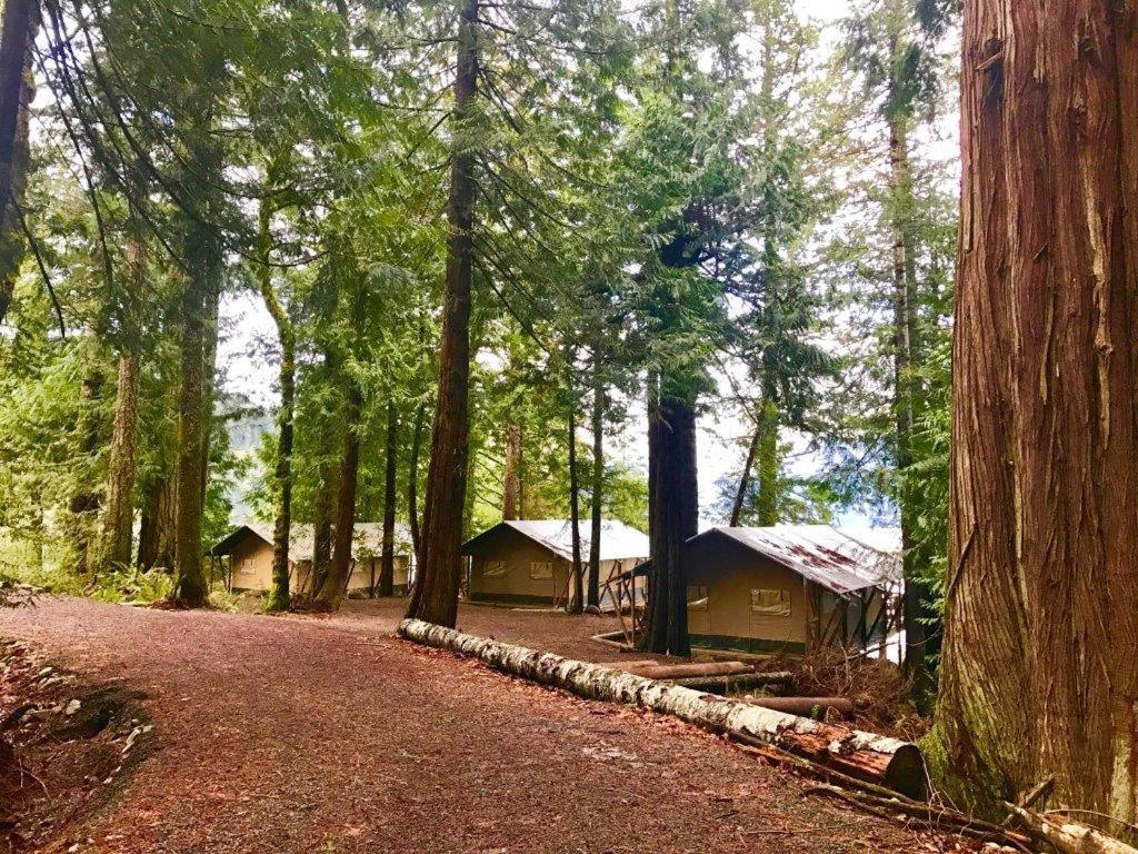 Brown'S Bay Resort Campbell River Esterno foto
